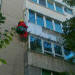 Title #6